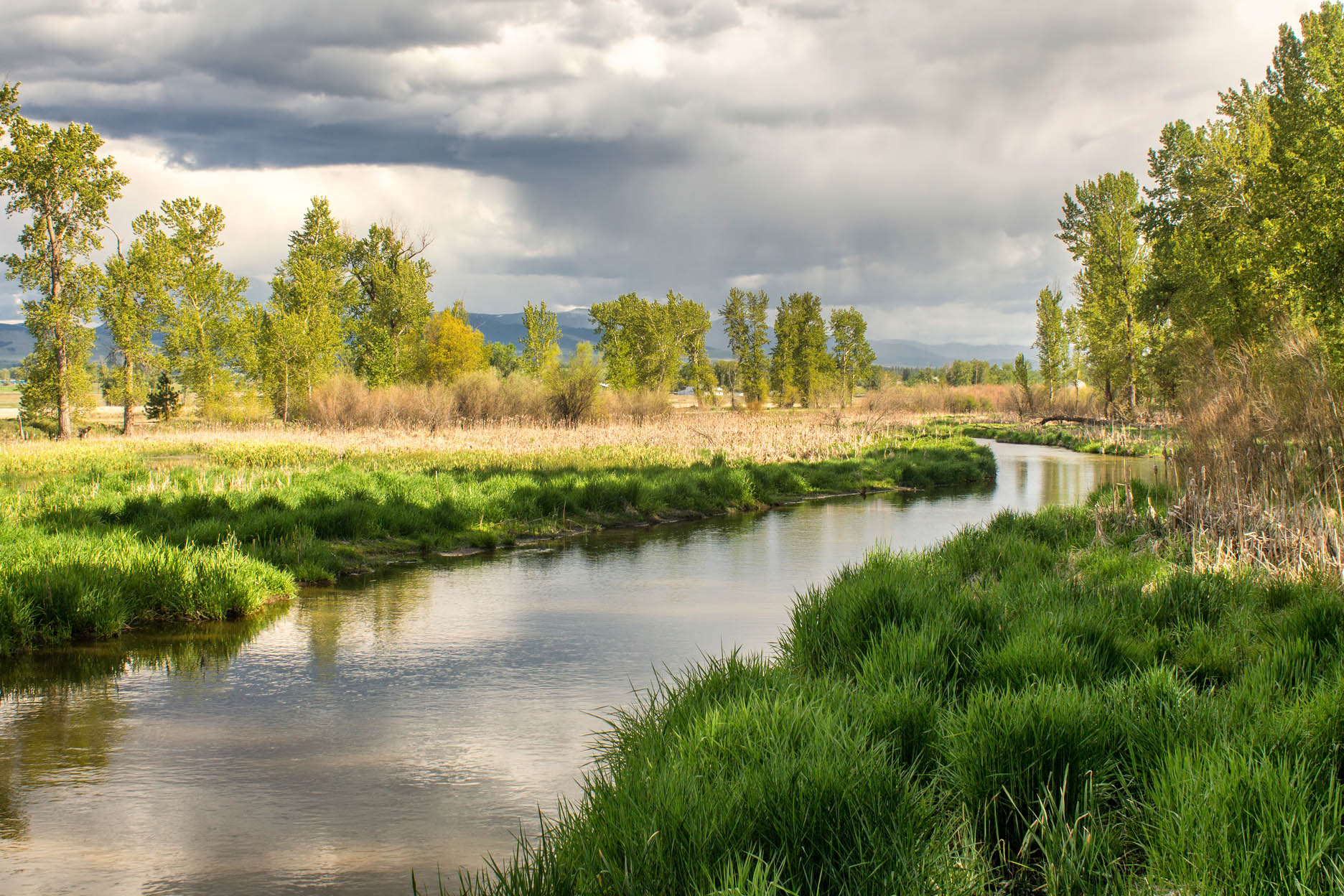 Lee Metcal Wildlife Refuge